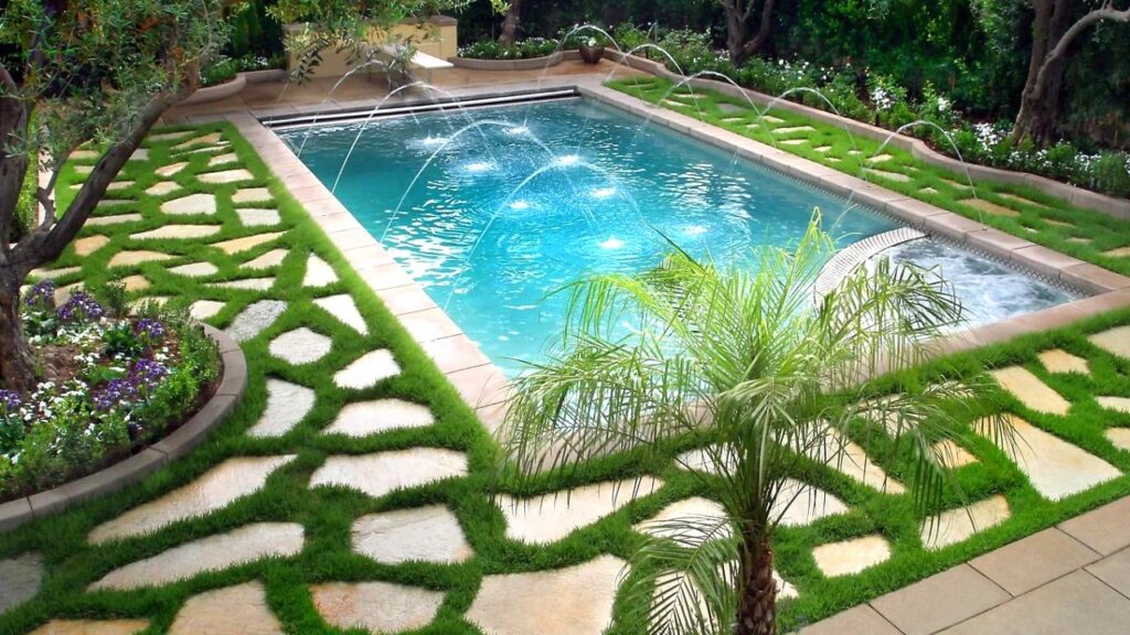 pool landscape with plants around